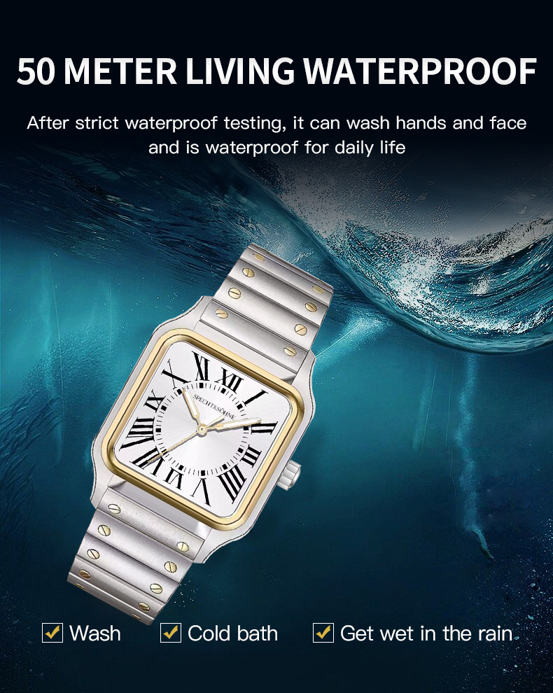 2025 New Arrivals SPECHT&SOHNE - Luxury Watch Cartier recension och pris
